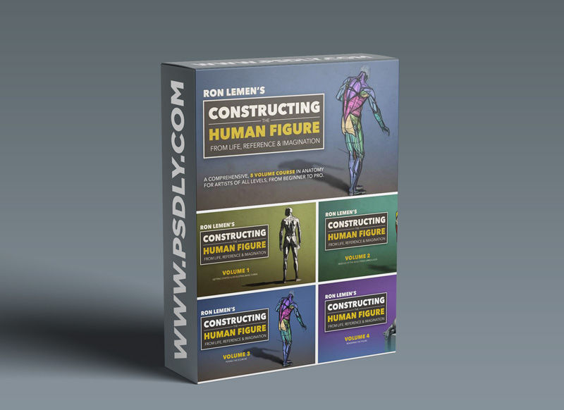 MuddyColors - Constructing the Human Figure : 5 Volume Set