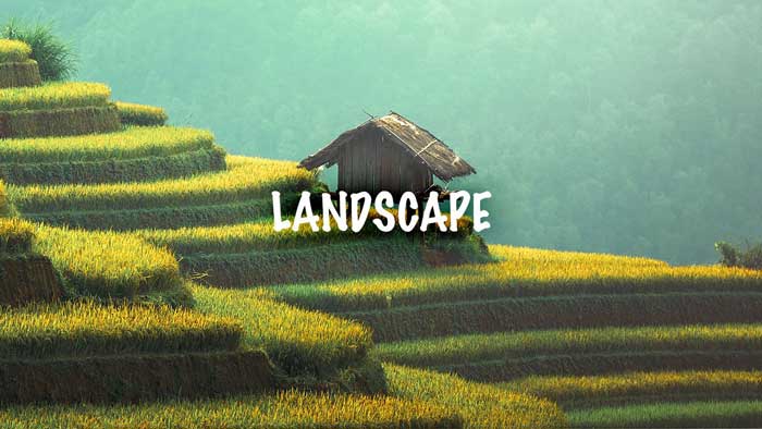 Psdbox – Landscape Creative LUT Presets