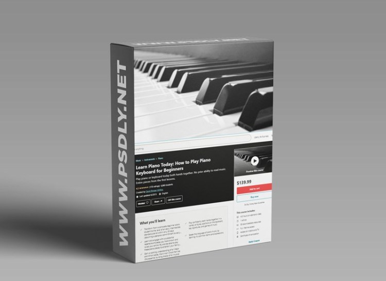 Learn Piano Today How to Play Piano Keyboard for Beginners