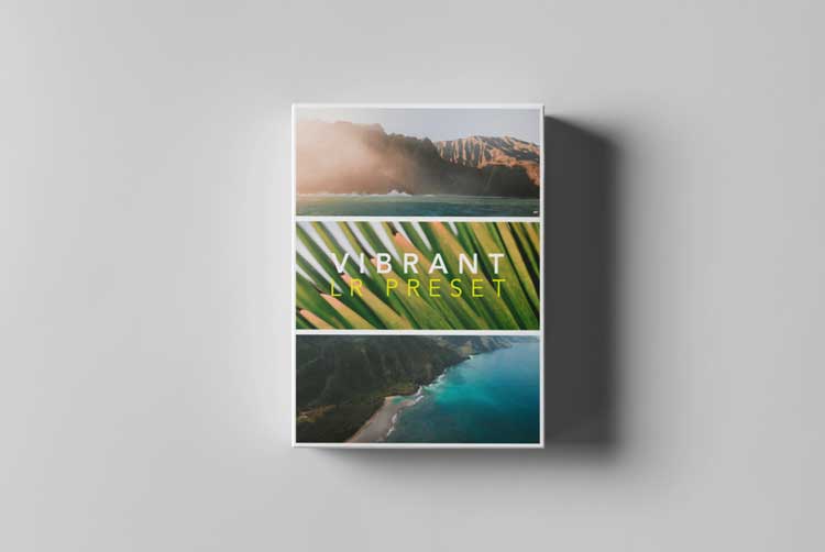 Tropic Color - LR PRESETS - VIBRANT