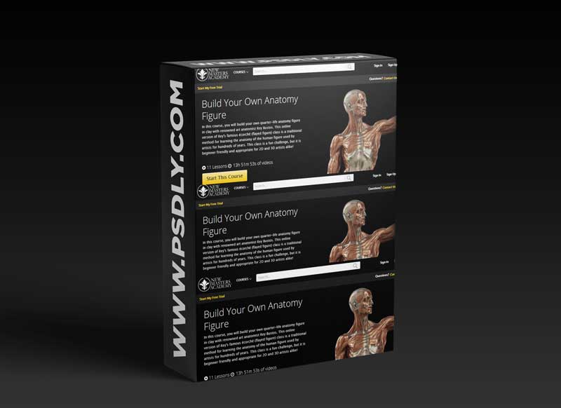 Build Your Own Anatomy Figure