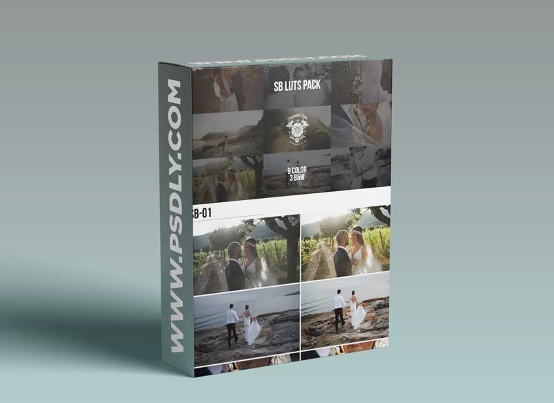 Vanessa & Ivos Wedding LUTs – SB Pack