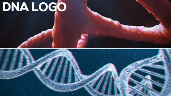 Videohive DNA Logo (2-pack) 13297571