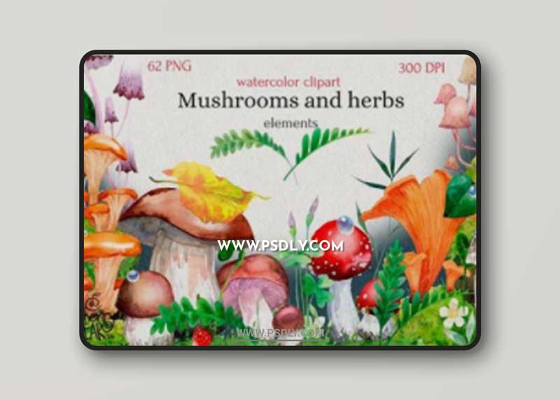 Watercolor Cliparts of Mushrooms 14755508