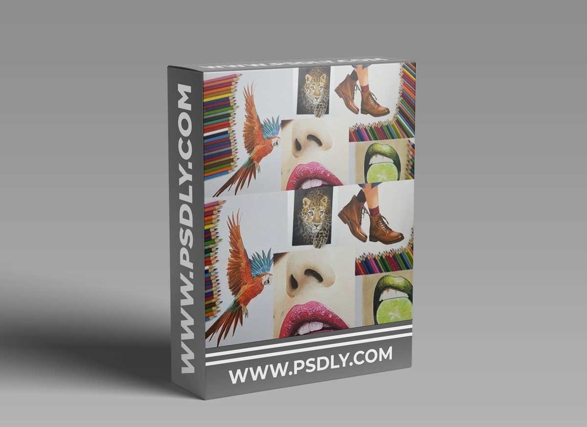 Ultimate Realistic Drawing: Master Colored Pencil Drawing