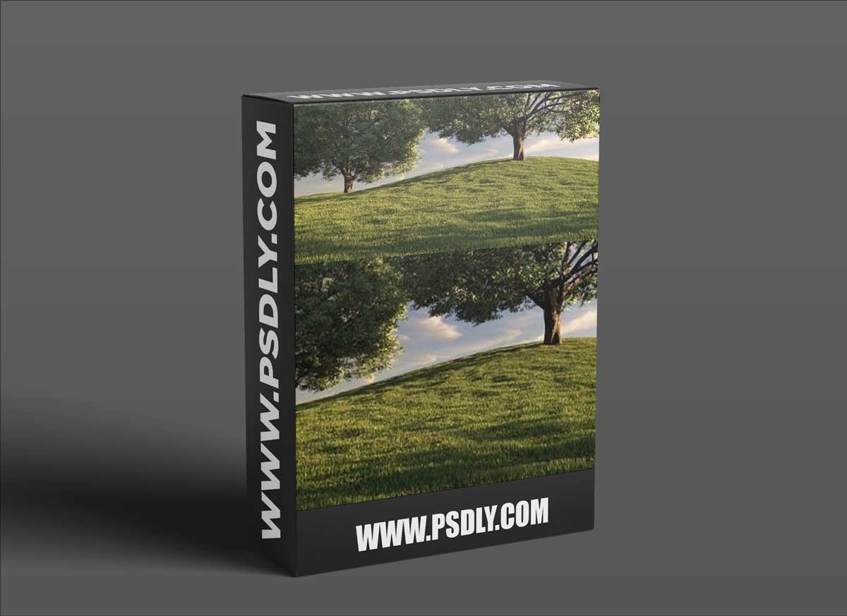 Happy Digital AutoGrass 1.50 for 3ds Max 2013 - 2021