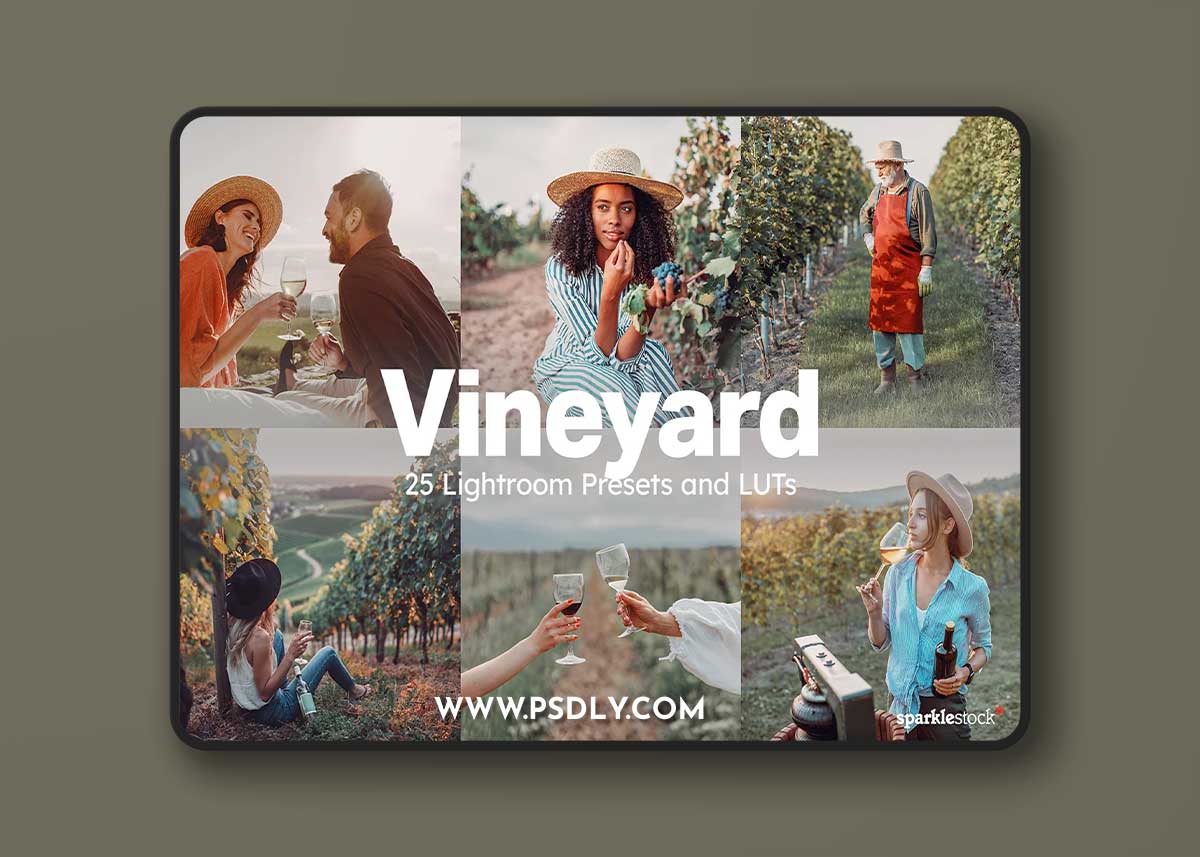 Creativemarket - Vineyard Lightroom Presets and LUTs 10307725