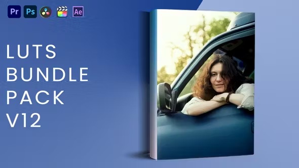 Videohive - LUTs Bundle Pack V12 - 42996898