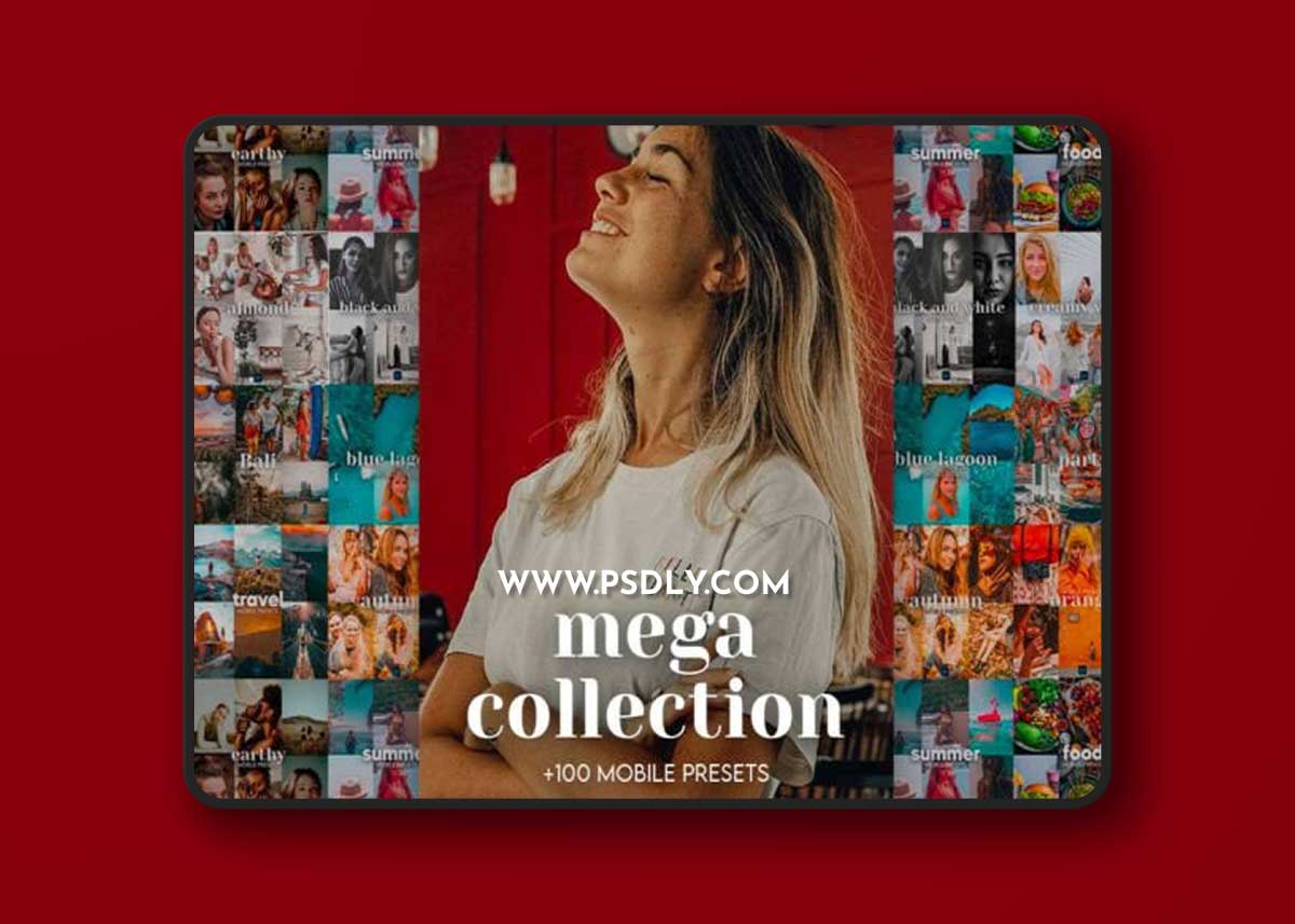 Bundle Lightroom Presets (+100 Presets)