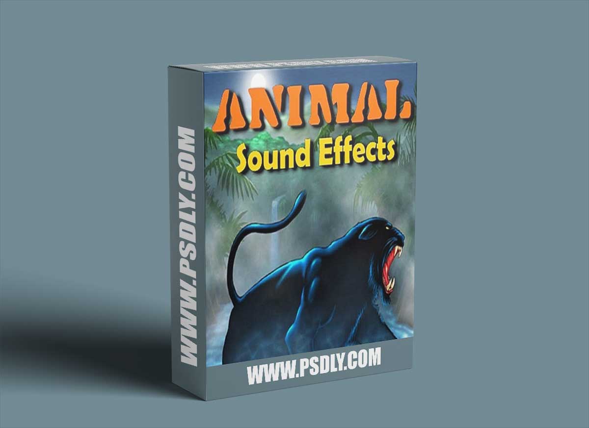 Hollywood Studio Sound Effects Animal Sound Effects