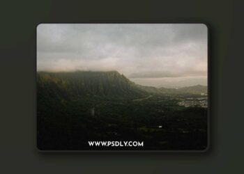 Awandering Tribe: Overlander