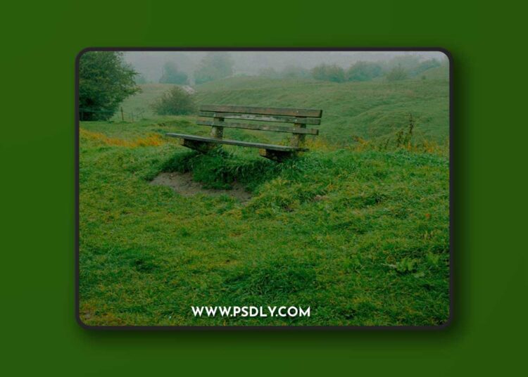 Oliver Keys - Film+ Lightroom Profile & Actions Pack 1 Oliver Keys - Film+ Lightroom Profile & Actions Pack