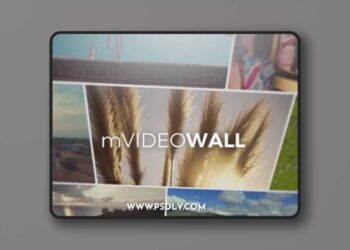 MotionVFX - mVideowall 2025