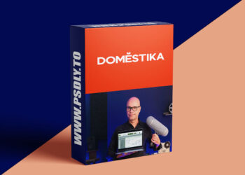 Domestika - Sound Design for Audiovisual Projects