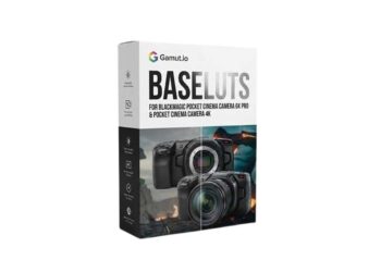 Gamut BaseLUTs for Blackmagic Pocket Cinema Camera 6K Pro and Pocket Cinema Camera 4K