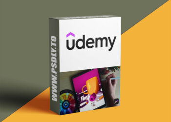 Color & Mood in Procreate For Beginners In Illustration