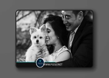 DVLOP Visual Flow Black and White Mixer