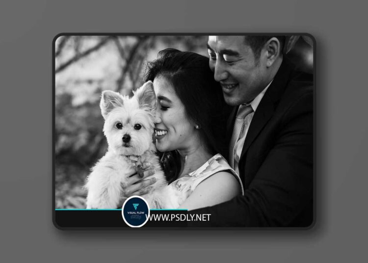 DVLOP - Visual Flow - Black and White Mixer 1 DVLOP Visual Flow Black and White Mixer