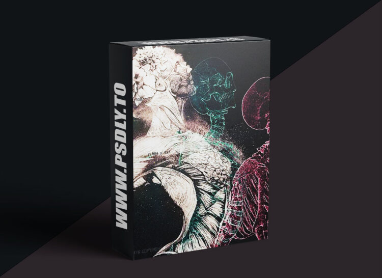 FAYN EDITING COURSE 2026 ! 1 FAYN EDITING COURSE 2026 !