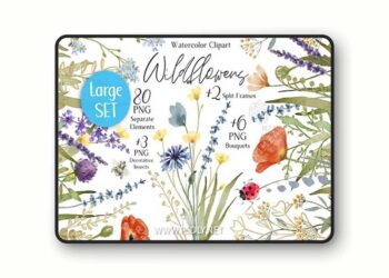 Watercolor Wildflower Clipart
