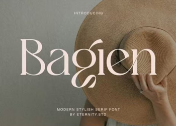 Bagien Modern Stylish Serif Font