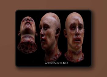 Rigged Female body parts collection vol.2 (4.27 and 5.0 – 5.7)