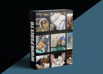 Satish Prajapati – Native Ads