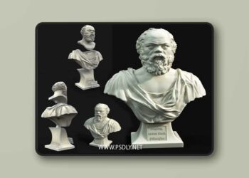 Socrates bust of man with beard 3D print Model